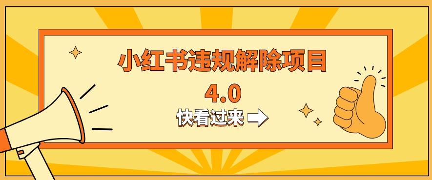 小红书违规掘金蓝海项目，日入800+（附带引流办法及解除办法）-金腾科技