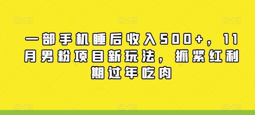 一部手机睡后收入500+，11月男粉项目新玩法，抓紧红利期过年吃肉-金腾科技