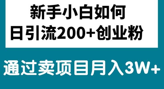 新手小白日引流200+创业粉,通过卖项目月入3W+-金腾科技