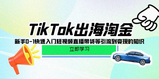 (10035期)TikTok-出海淘金，新手0-1快速入门短视频直播带货等引流到变现的知识-金腾科技