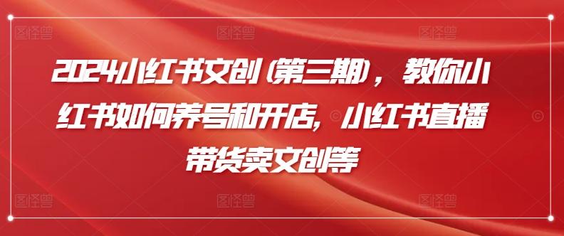 2024小红书文创(第三期)，教你小红书如何养号和开店，小红书直播带货卖文创等-金腾科技