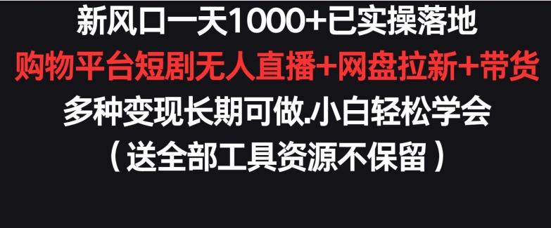 新风口一天1000+已实操落地购物平台短剧无人直播+网盘拉新+带货多种变现长期可做【揭秘】-金腾科技