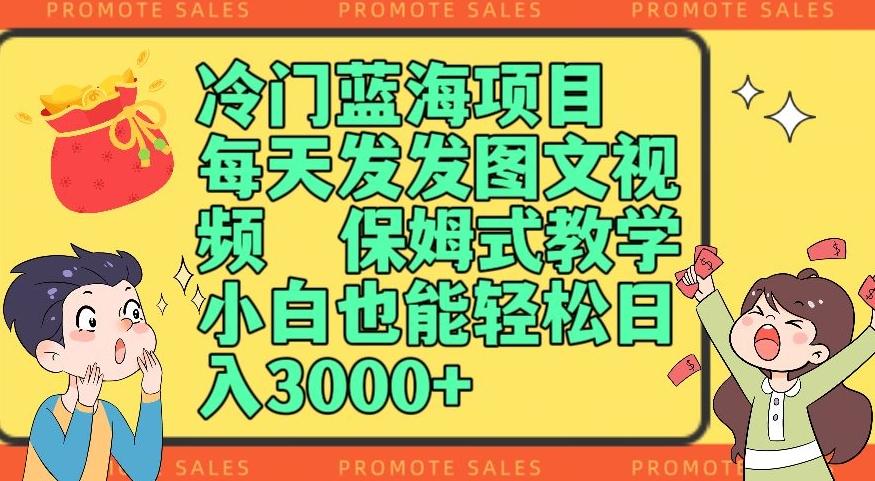冷门蓝海项目，每天发发图文视频，保姆式教学，小白也能轻松日入3000+-金腾科技