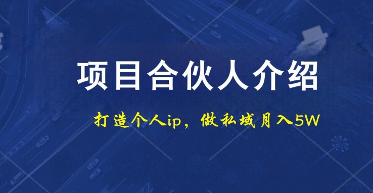 项目合伙人项目，打造个人IP，做私域月入5W，小白勿扰-金腾科技