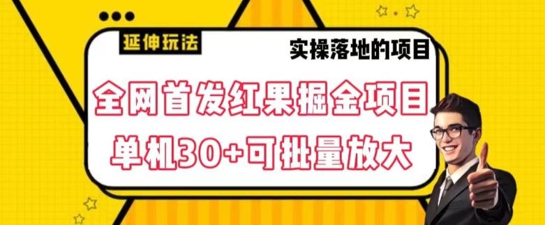 全网首发红果免费短剧掘金项目，单机30+可批量放大【揭秘】-金腾科技