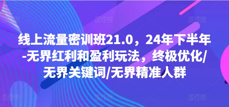 线上流量密训班21.0，24年下半年-无界红利和盈利玩法，终极优化/无界关键词/无界精准人群-金腾科技