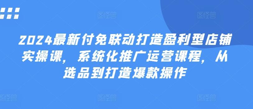 2024最新付免联动打造盈利型店铺实操课，​系统化推广运营课程，从选品到打造爆款操作-金腾科技