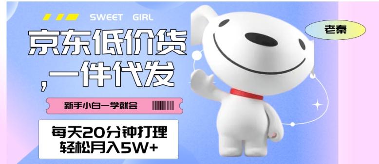 每天20分钟打理京东低价货，一件代发-轻松月入5W＋-金腾科技