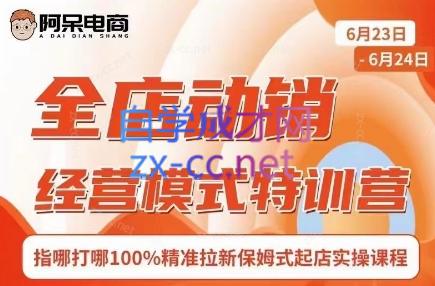 阿呆电商·全店动销经营模式特训营(线下录音+思维导图)-金腾科技