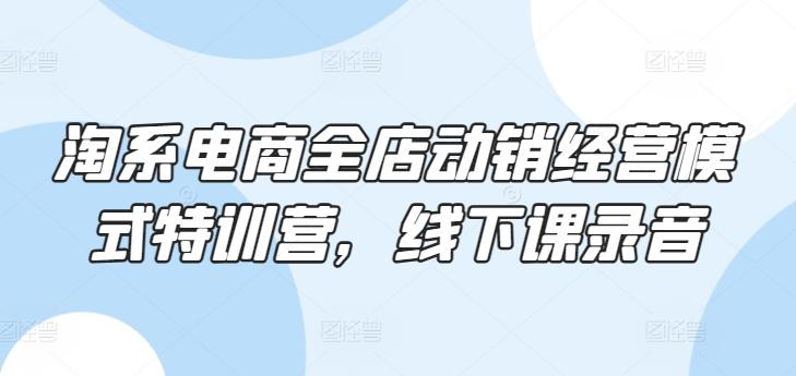 淘系电商全店动销经营模式特训营，线下课录音-金腾科技