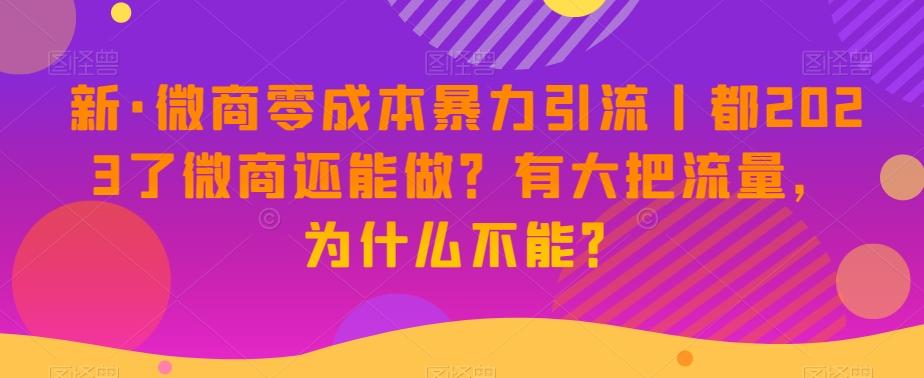 新·微商零成本暴力引流丨都2023了微商还能做？有大把流量，为什么不能？-金腾科技