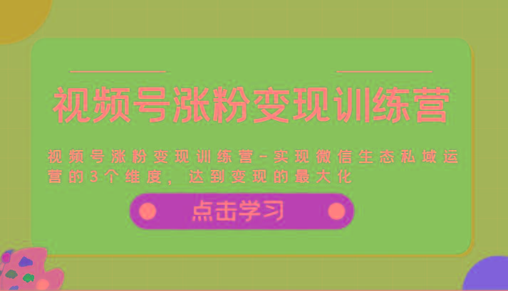 视频号涨粉变现训练营-实现微信生态私域运营的3个维度，达到变现的最大化-金腾科技