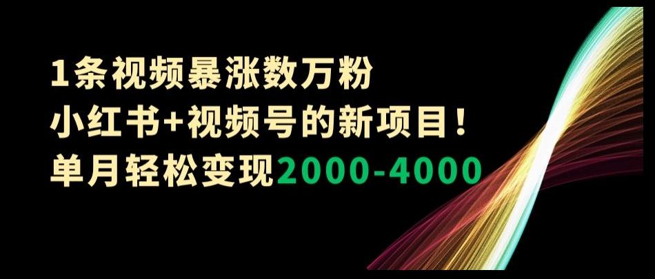 1条视频暴涨数万粉–小红书+视频号的新项目！单月轻松变现2000-4000【揭秘】-金腾科技