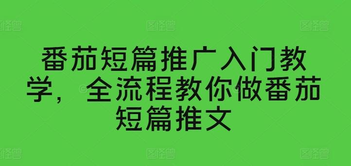 番茄短篇推广入门教学，全流程教你做番茄短篇推文-金腾科技