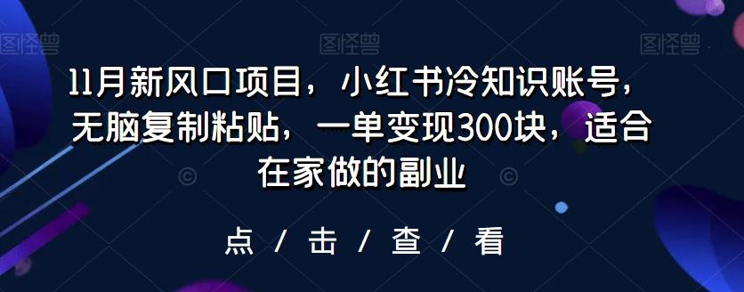 11月新风口项目，小红书冷知识账号，无脑复制粘贴，一单变现300块，适合在家做的副业-金腾科技