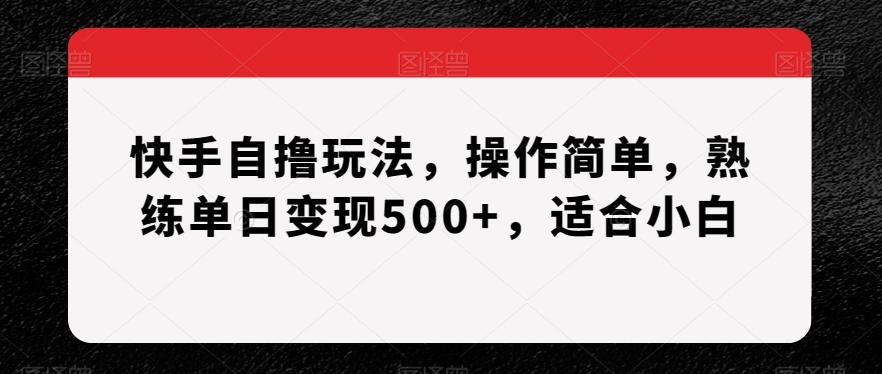 快手自撸玩法，操作简单，熟练单日变现500+，适合小白【揭秘】-金腾科技