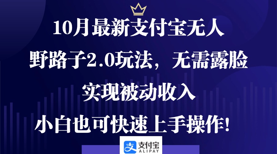 10月最新支付宝无人野路子2.0玩法，无需露脸，实现被动收入，小白也可…-金腾科技