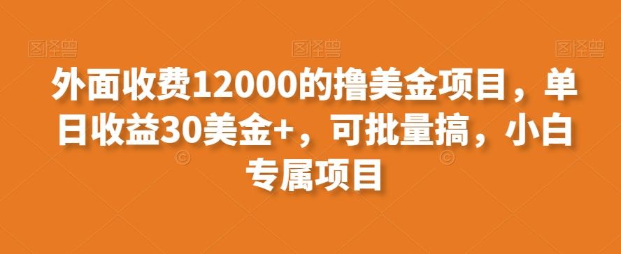 外面收费12000的撸美金项目，单日收益30美金+，可批量搞，小白专属项目-金腾科技