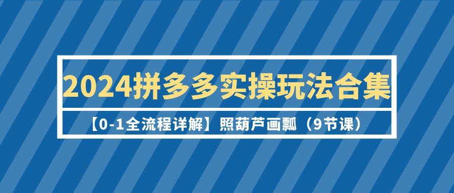 (9559期)2024拼多多实操玩法合集【0-1全流程详解】照葫芦画瓢(9节课)-金腾科技