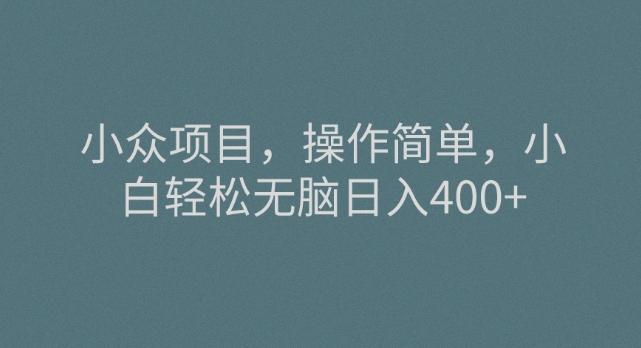 小众项目，操作简单，小白轻松无脑日入400+-金腾科技