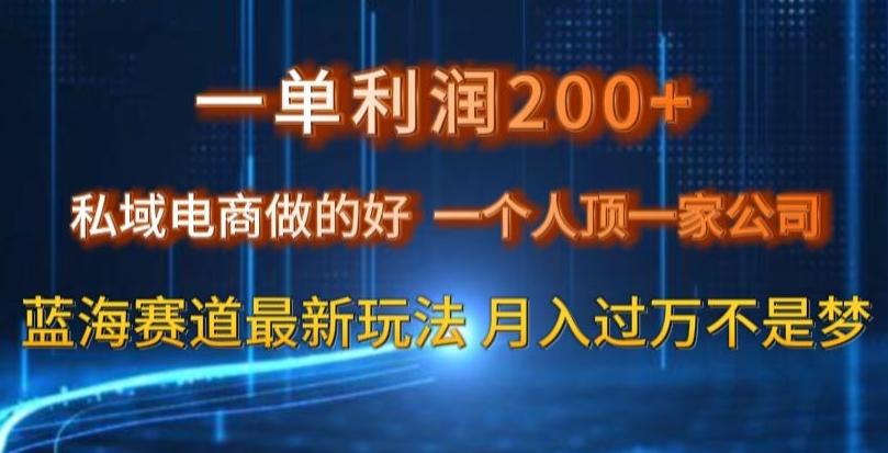 一单利润200私域电商做的好，一个人顶一家公司蓝海赛道最新玩法【揭秘】-金腾科技