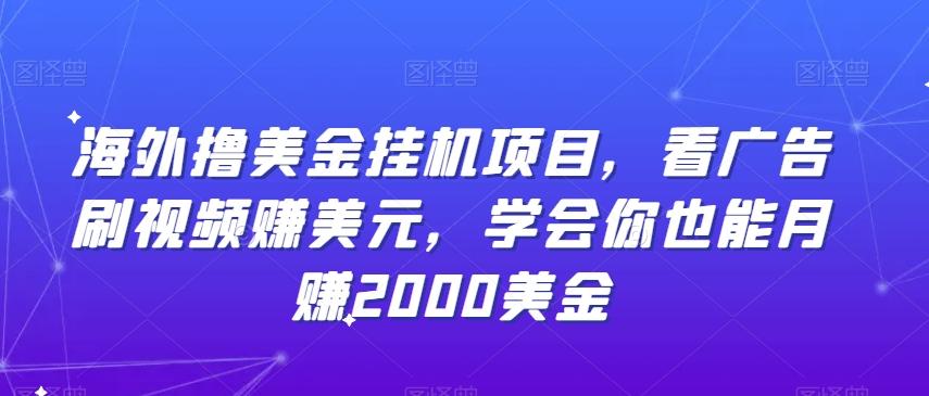 海外撸美金挂机项目，看广告刷视频赚美元，学会你也能月赚2000美金-金腾科技