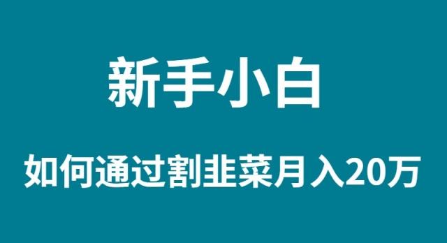 (9308期)新手小白如何通过割韭菜月入 20W-金腾科技