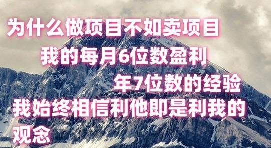 做项目不如卖项目，每月6位数盈利，年7位数经验-金腾科技