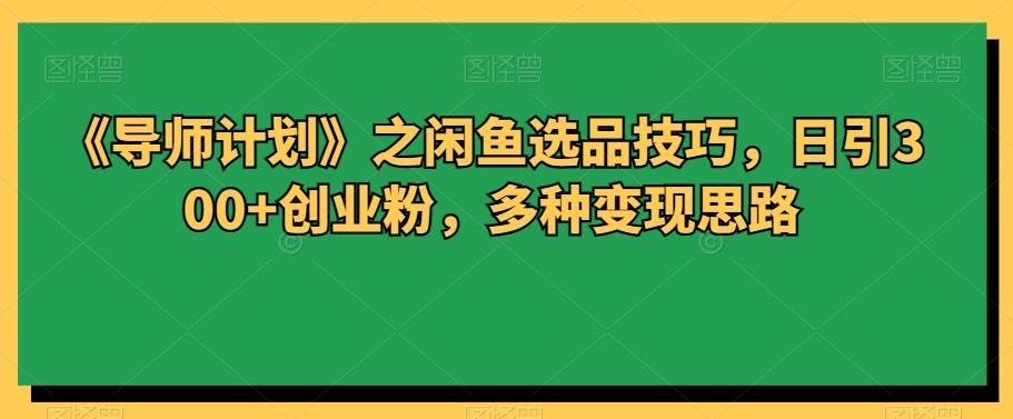 《导师计划》之闲鱼选品技巧，日引300+创业粉，多种变现思路-金腾科技