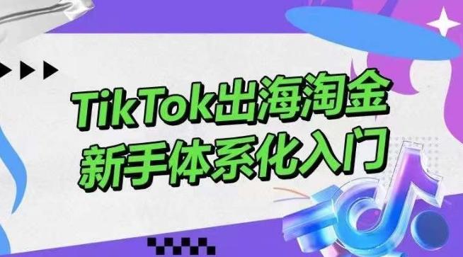 TikTok出海淘金，新手体系化入门，零基础快速入门，掌握短视频、直播带货等引流到变现的知识-金腾科技