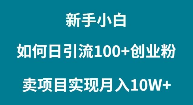 (9556期)新手小白如何通过卖项目实现月入10W+-金腾科技