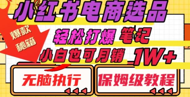 小红书电商爆款选品秘籍，帮你轻松打爆笔记，小白也可轻松月销10000+-金腾科技