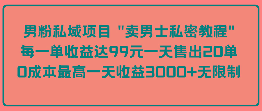 (9730期)男粉私域项目 “卖男士私密教程” 每一单收益达99元一天售出20单-金腾科技
