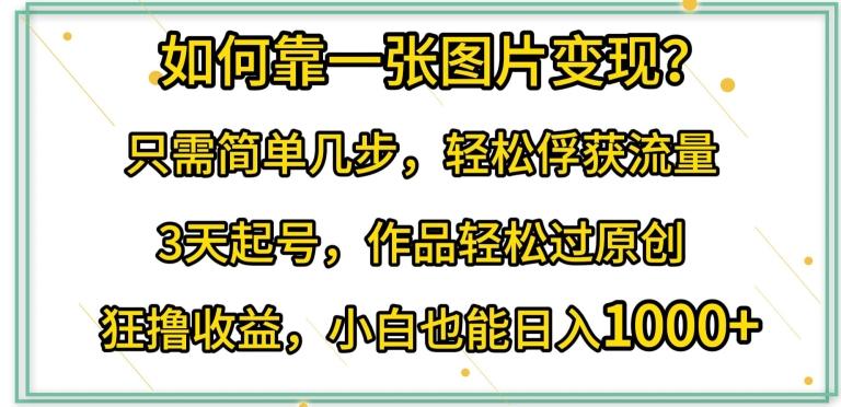 如何靠一张图片变现?只需简单几步，轻松俘获流量，3天起号，作品轻松过原创【揭秘】-金腾科技