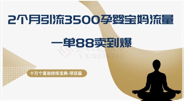 十万个富翁修炼宝典之13.2个月引流3500孕婴宝妈流量，一单88卖到爆-金腾科技