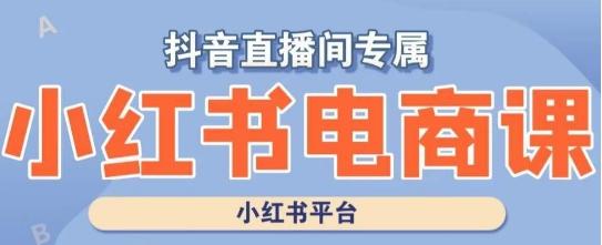 小红书电商高级运营课程，实操教学+案例分析-金腾科技